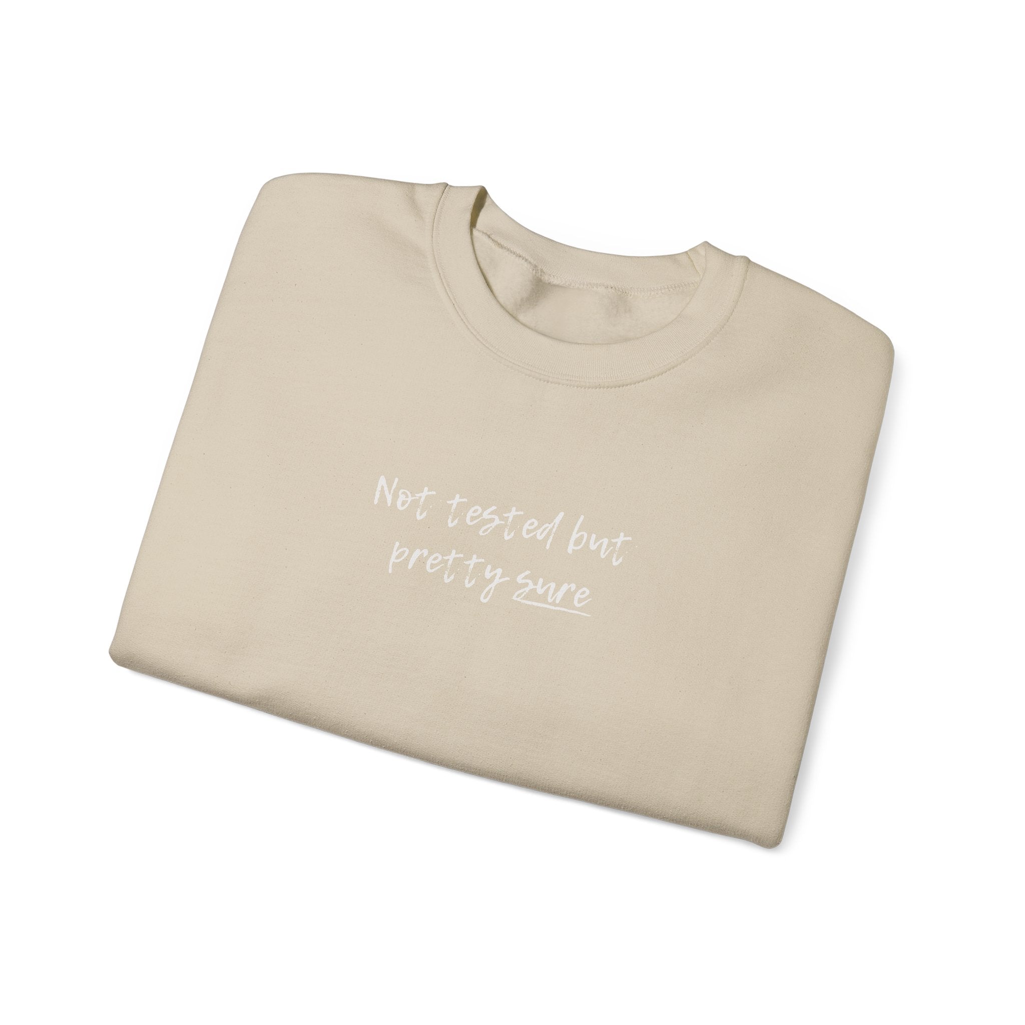 Not tested but pretty sure sweatshirt | minimalist handwritten text crewneck